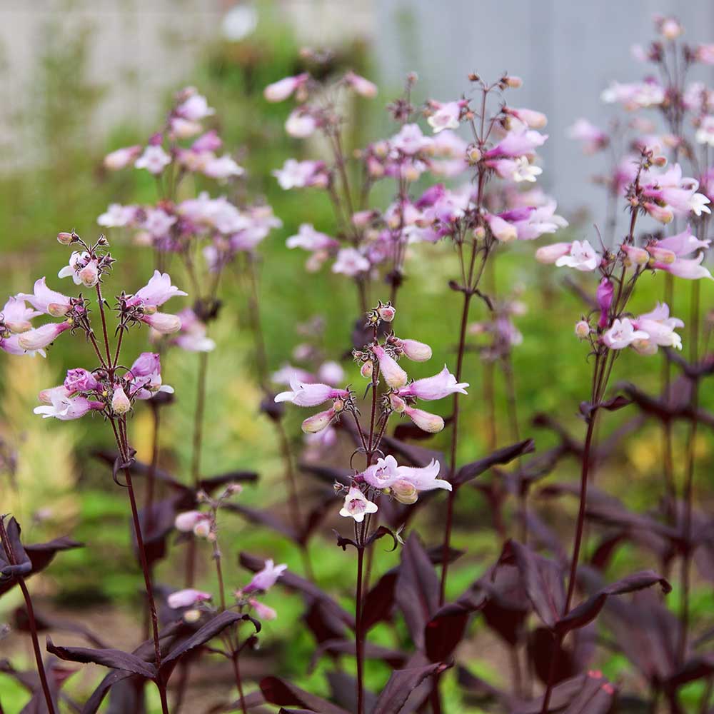 f3a933dcc1ae9b0ef698ea933a96c485