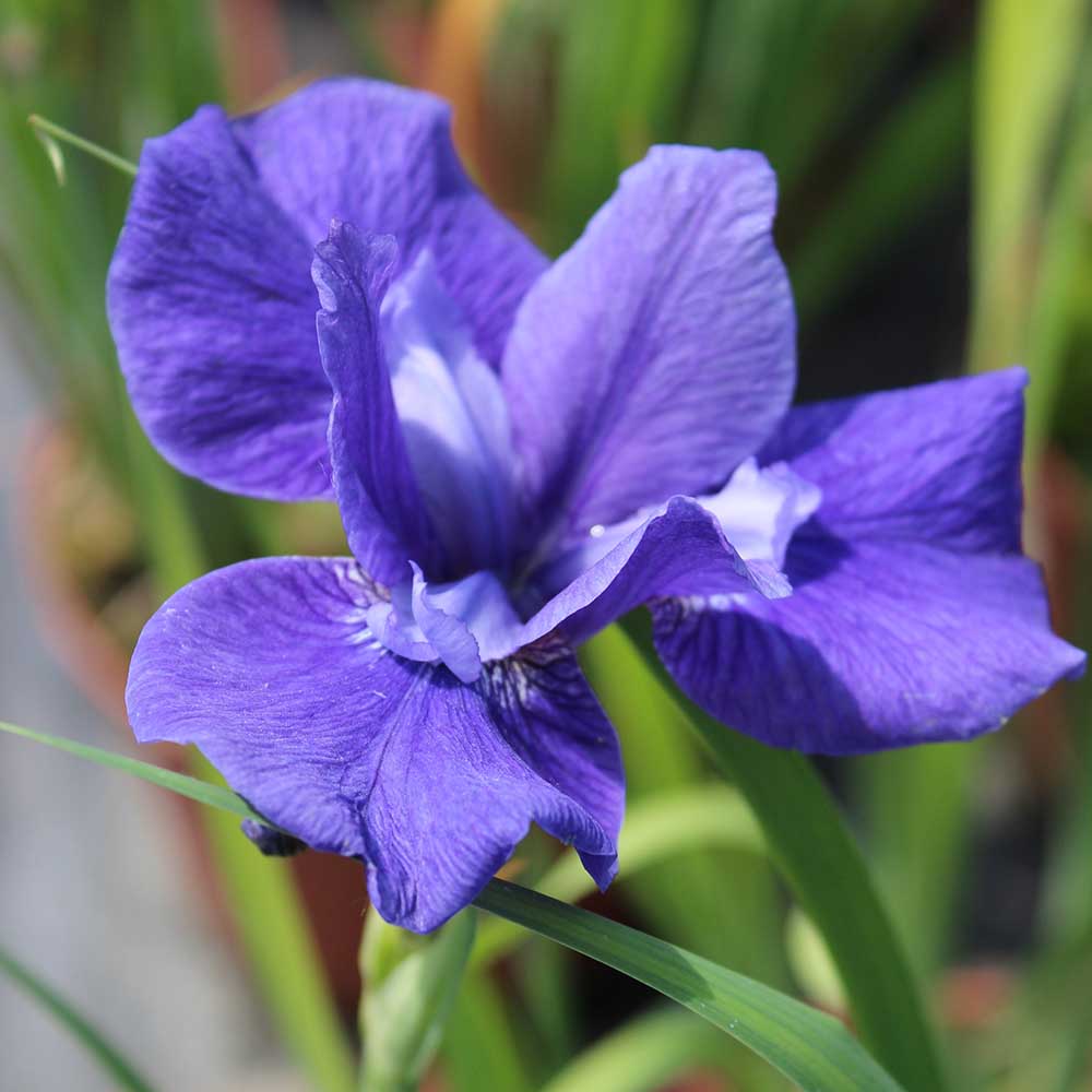 43859a2d91ba0a554ff6c7a021b2f240