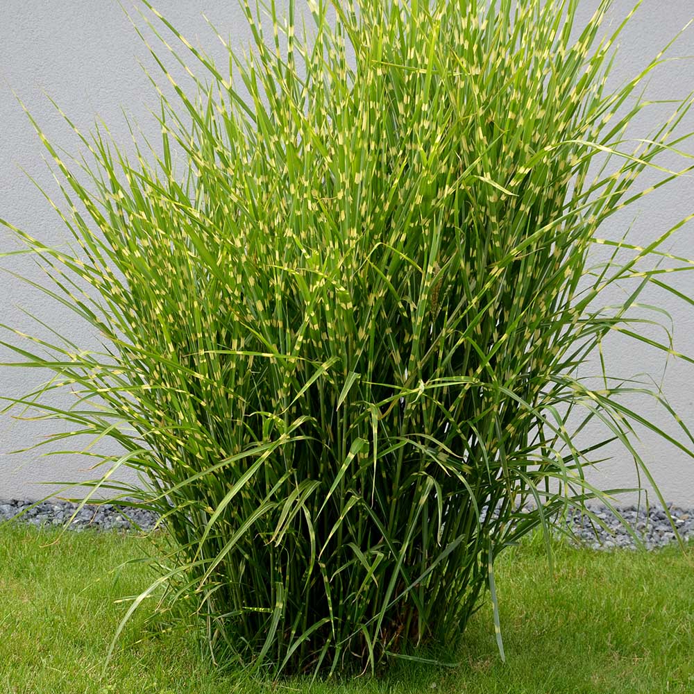 42073bc8906b7d576d951927d8fb01ee