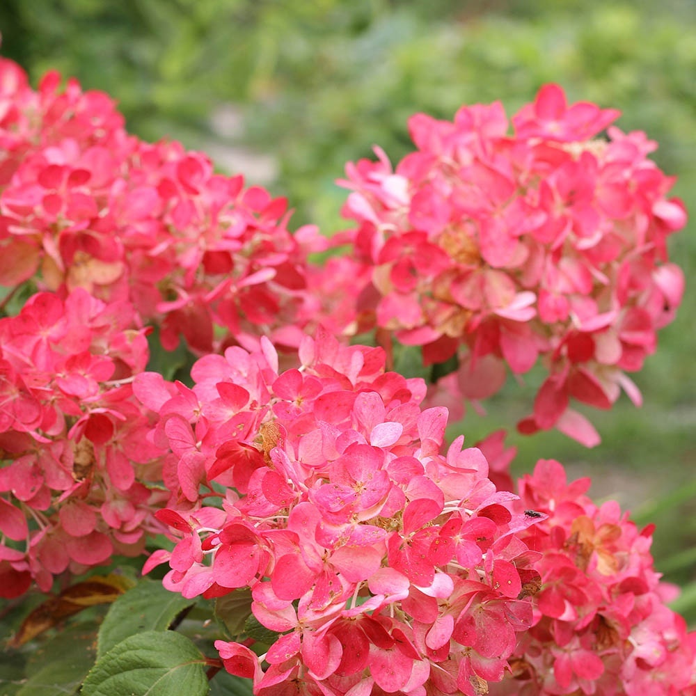 eadb107e054a4136bfaea7257a9f33cc