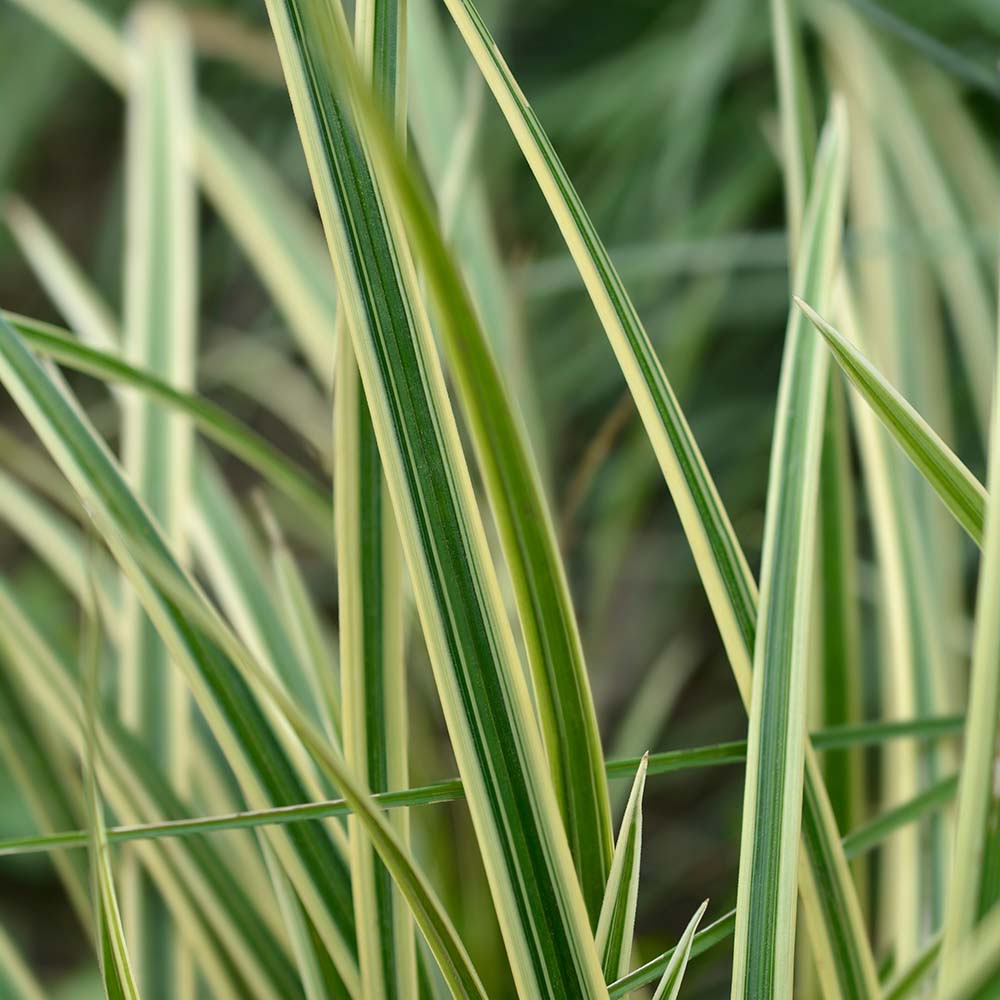 e18da6745544faa667d4bc927852fd8e