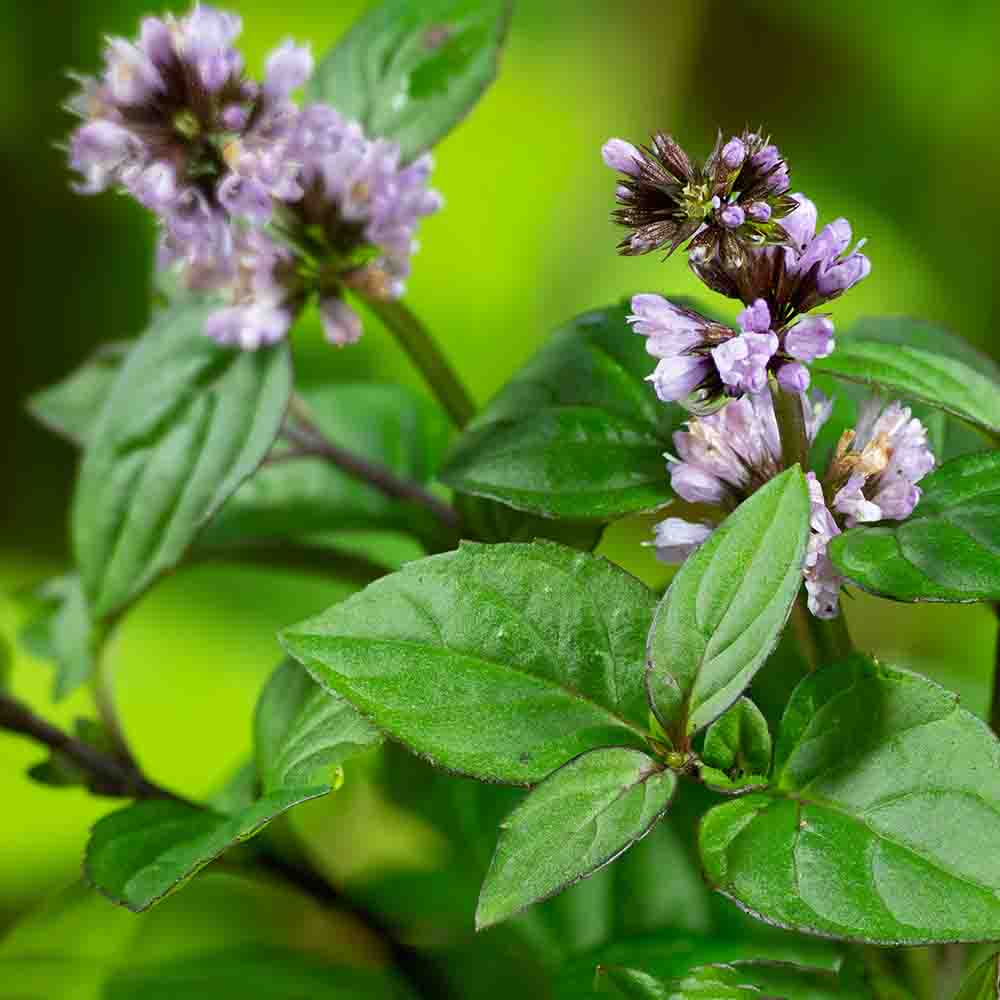 c3345e468ac94406e3deeada3ac417ae