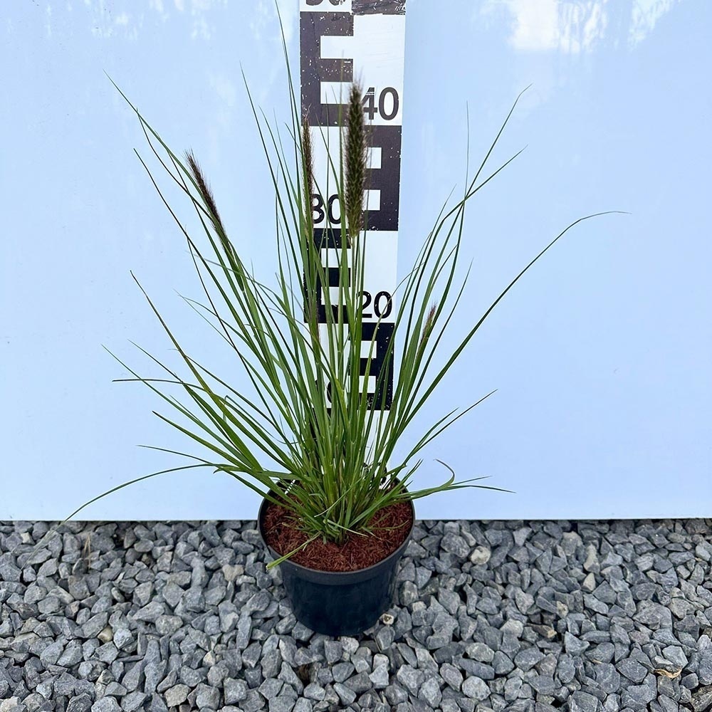 90c11895e34b0350b3a1c38ed8297207