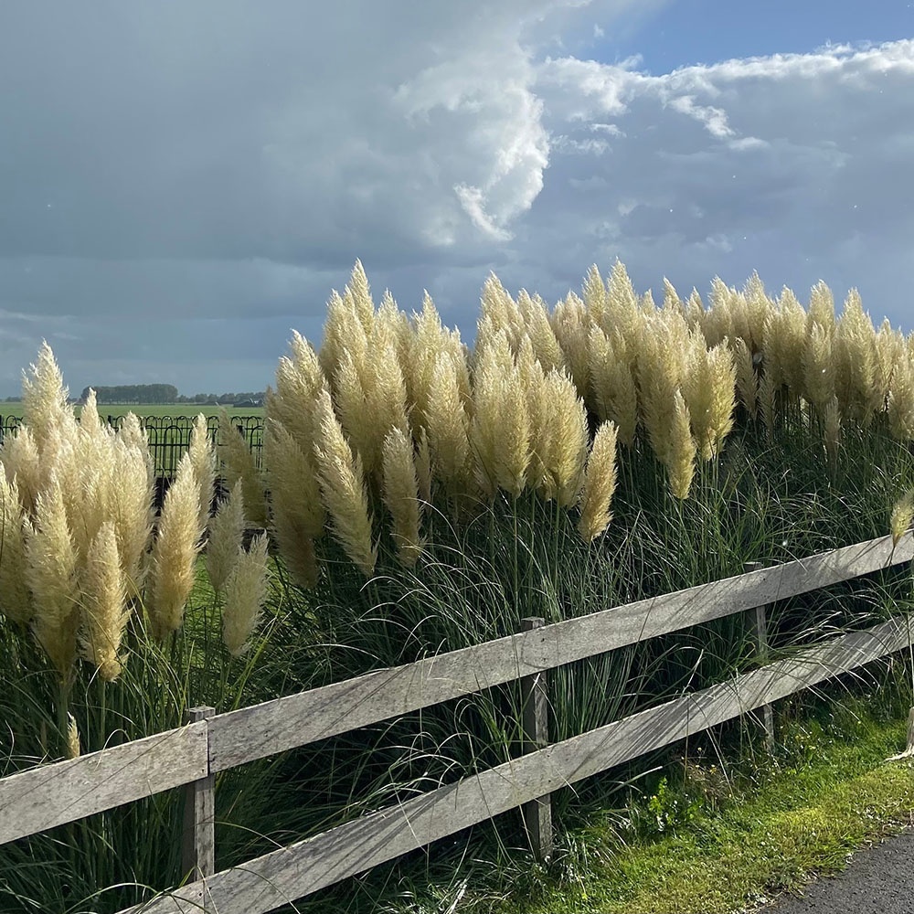 436cf2d8b54156af7b2d2ed9f6e643f1