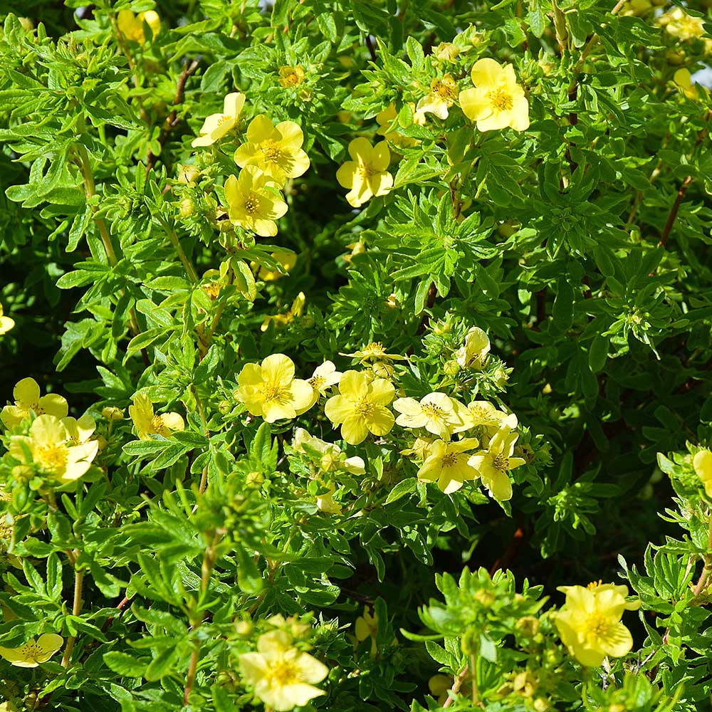 0f7c7f46f55d14c2db74b5ddaf54a4c8