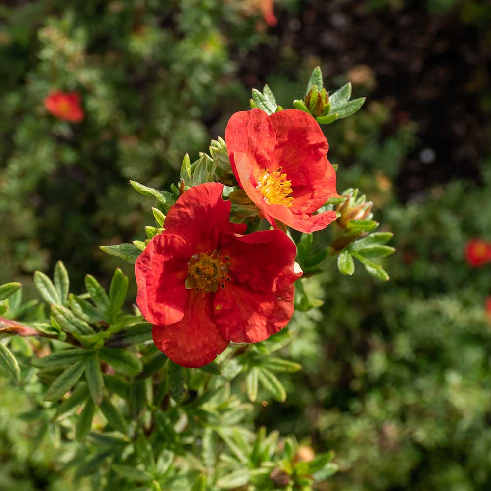 1fd24d19d216a6d63ec69bcae80c0f47