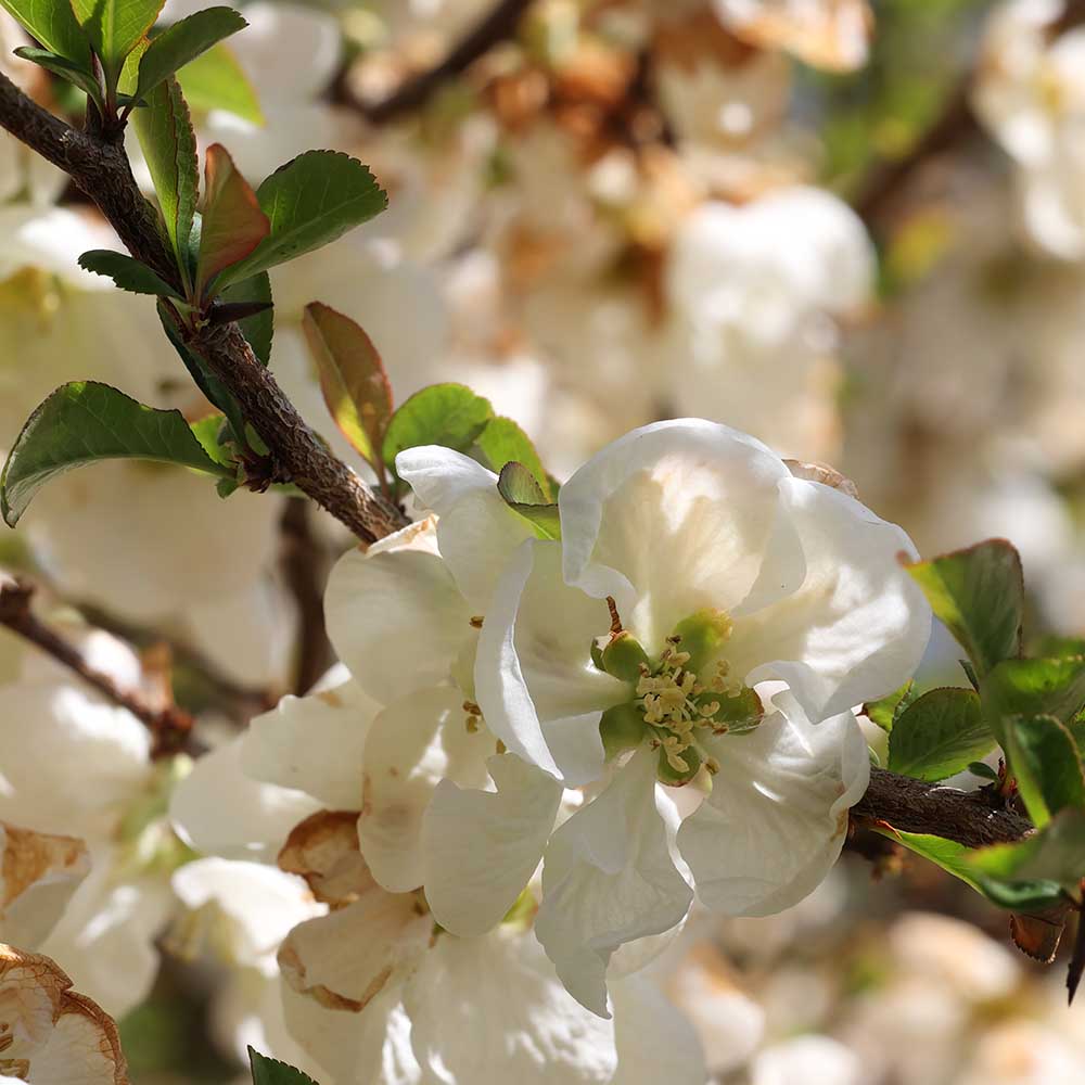 a024fcaa1e331d1d37ab89c2288d3ada