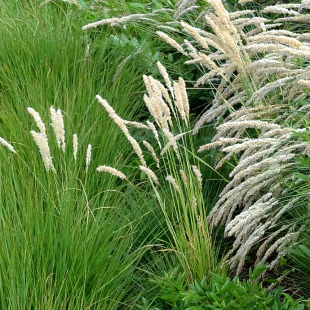 b9b6e384b27272f3163f4c98c20b3fcf