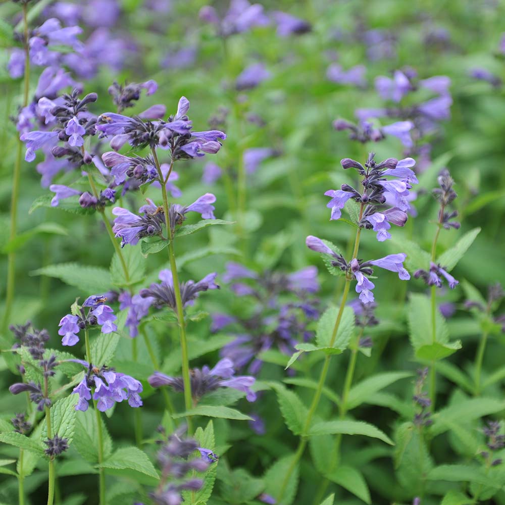 0220d8dadf1e87a8c01730d0047261ac