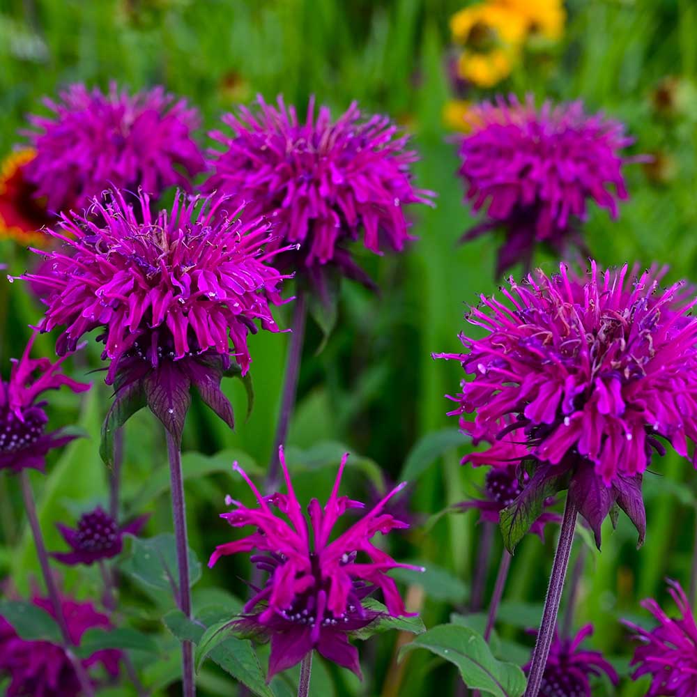 b6837b67a3d121f8e1402e091c770fa8