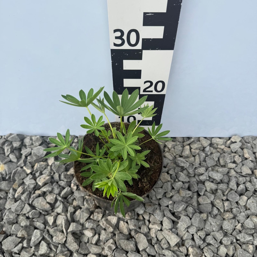 b6d610d2bf59b3a0aa32588a4c78c15d