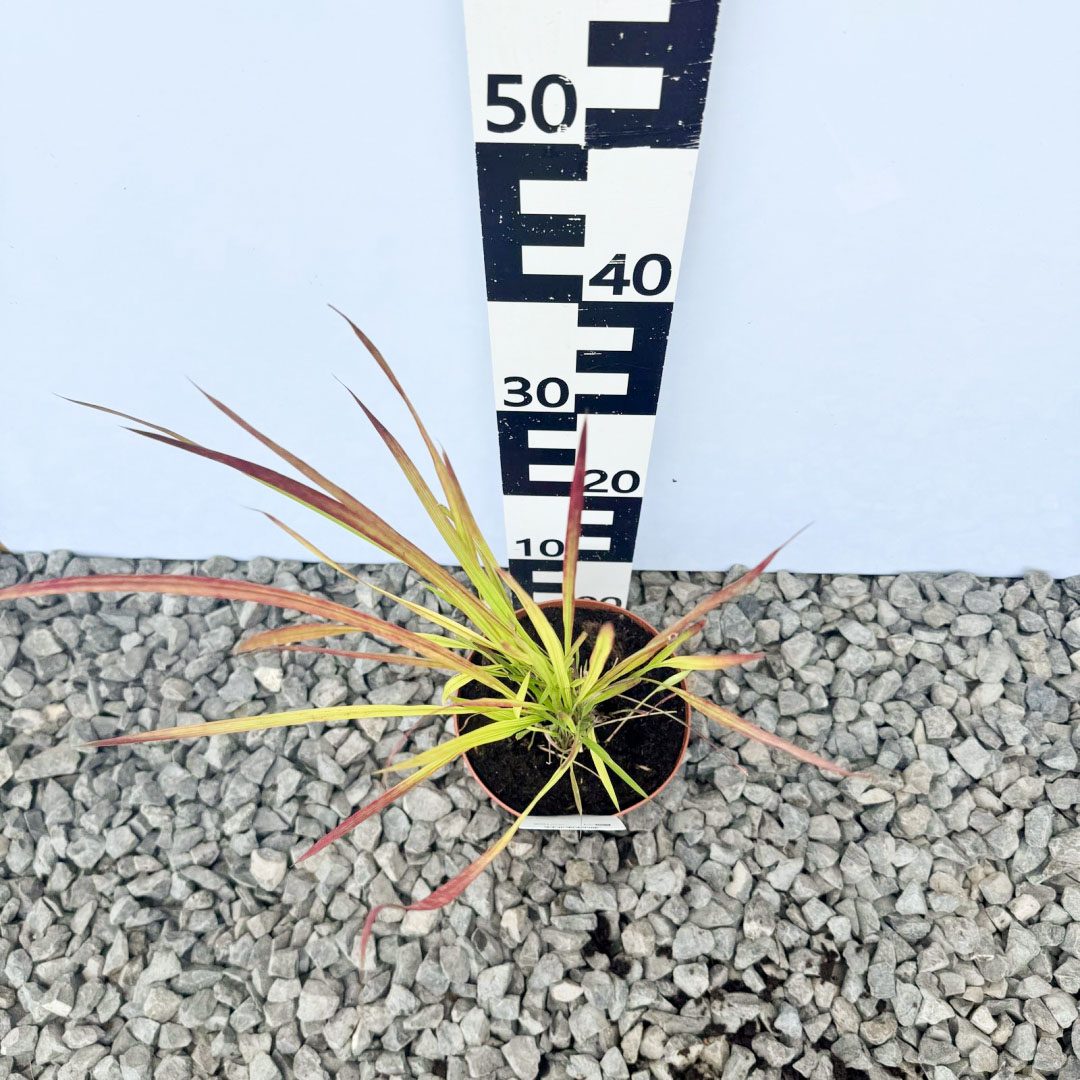 46534b05fb80174865ae4ec812b8bb98