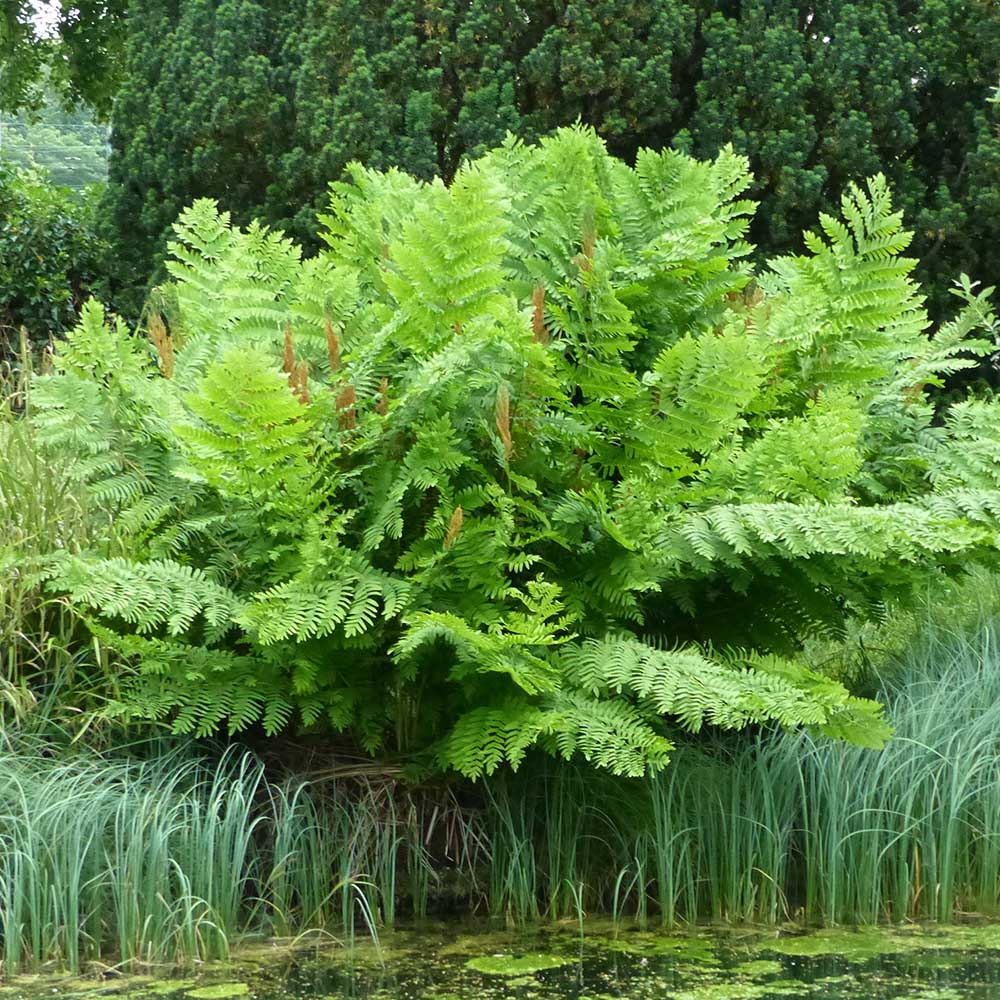 4e116c58595259799ac2902dabb88156