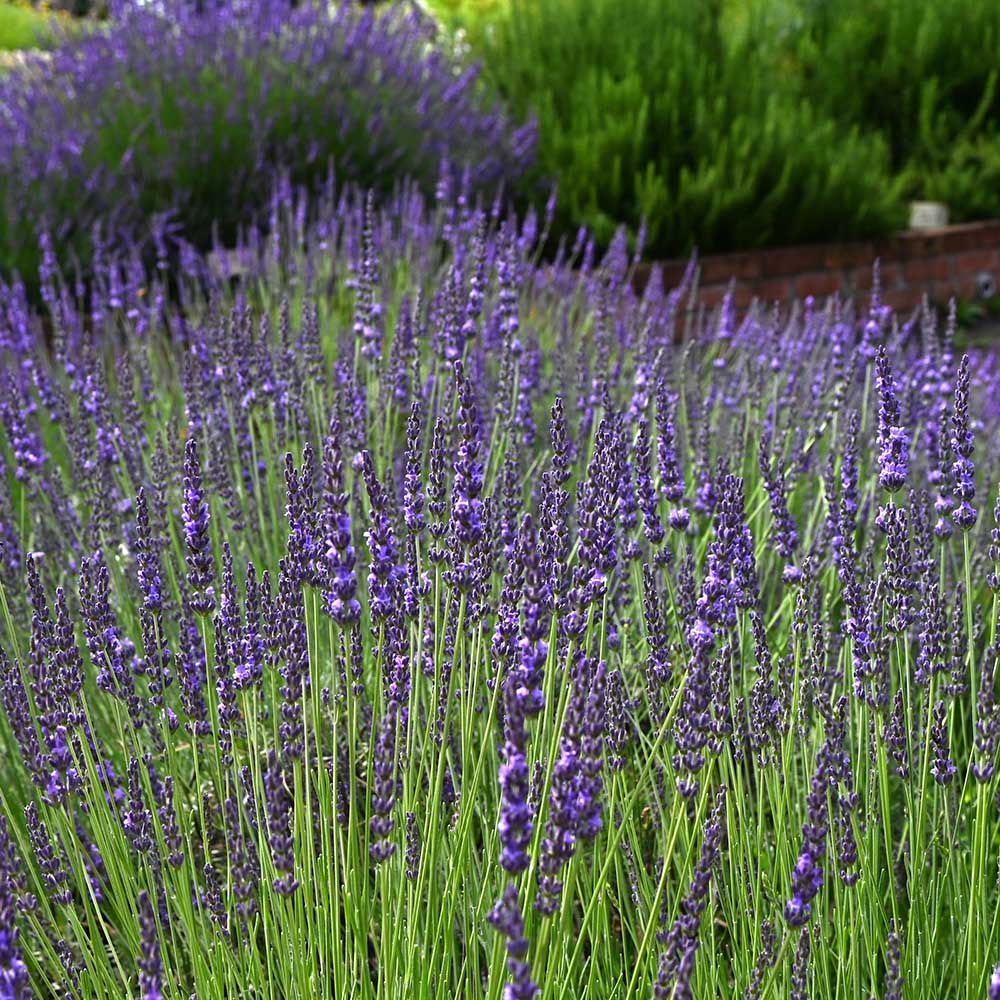 cb3e90eb7800cc2c668e1c527223a57e