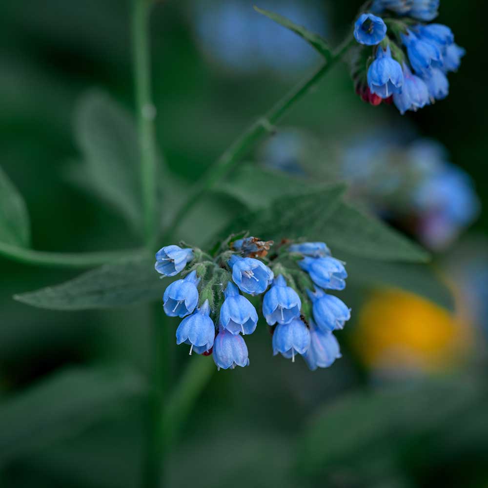 20fb6da1970c2422ff945a094e99ec2d