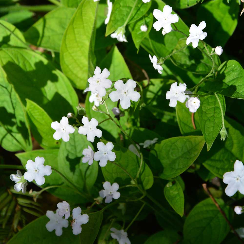 5a79dc1ac4ca388a4a45f1fd5a2ea2b8