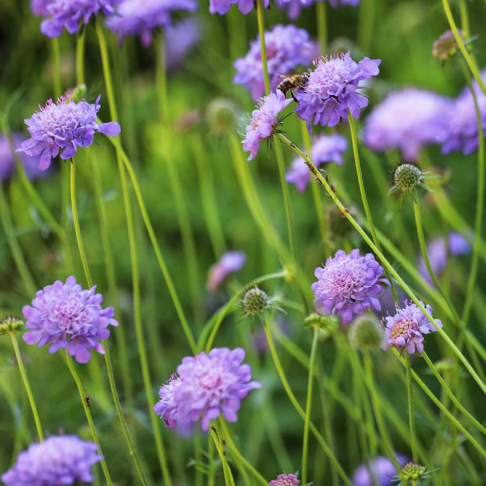 3332422b600ec479a7ae51f591164c37