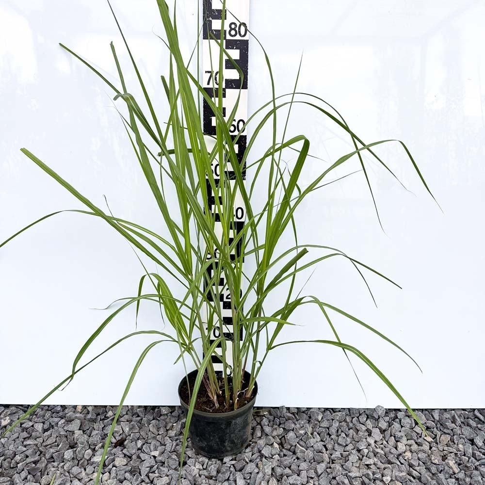 e0053e3e625d53d525d09c612d5ac1c0