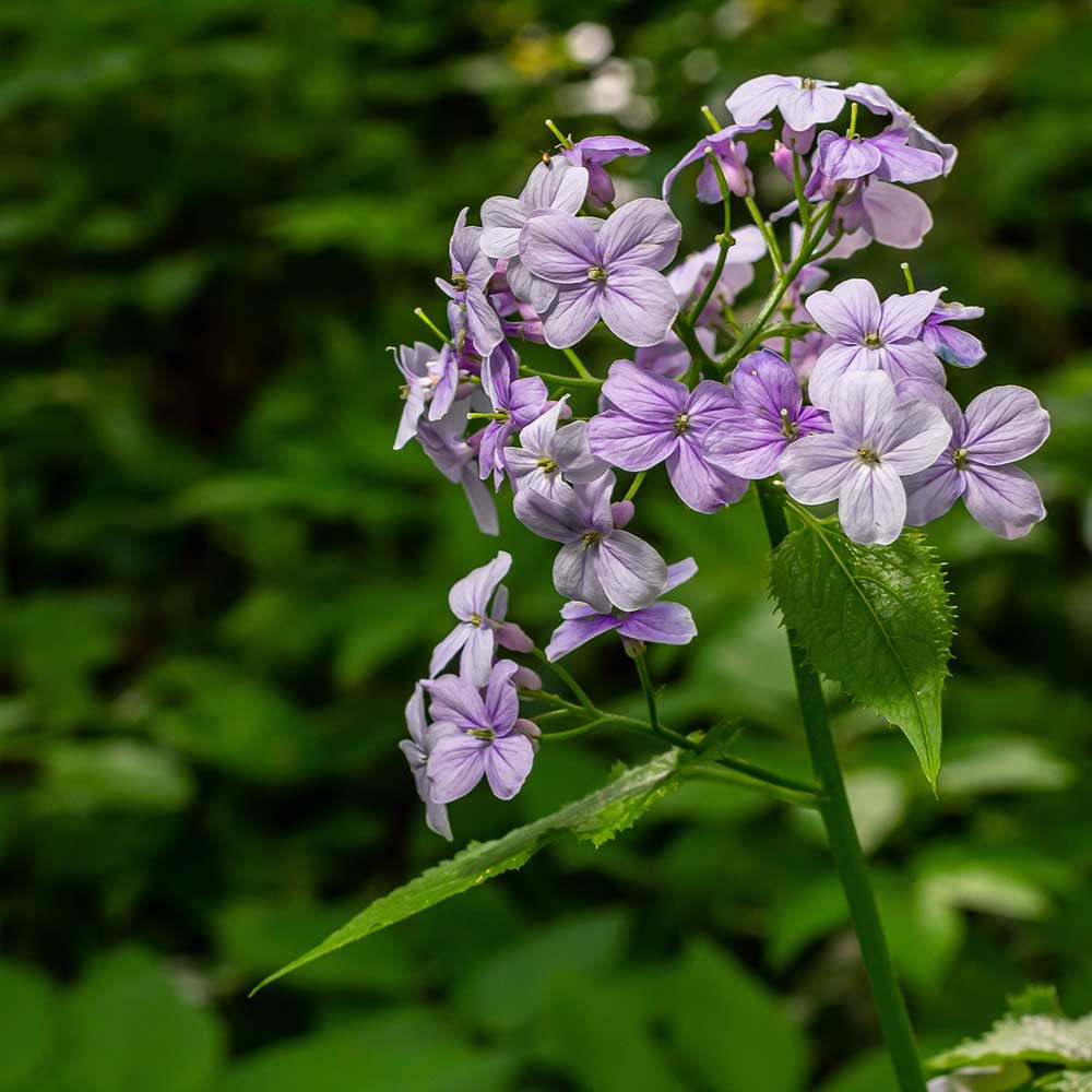 8cef87b1862317a26bdf2bdf35ef3584