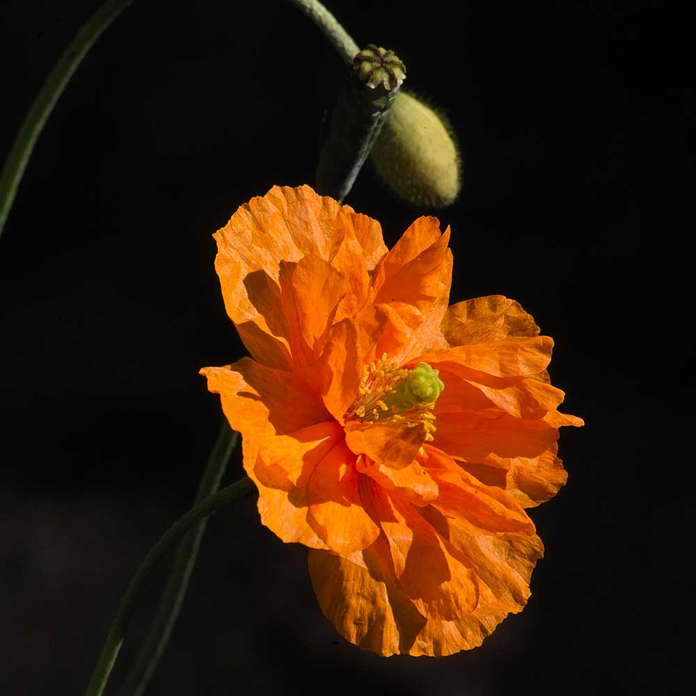 11883b250841016c7d3e0dddd2caa2a7