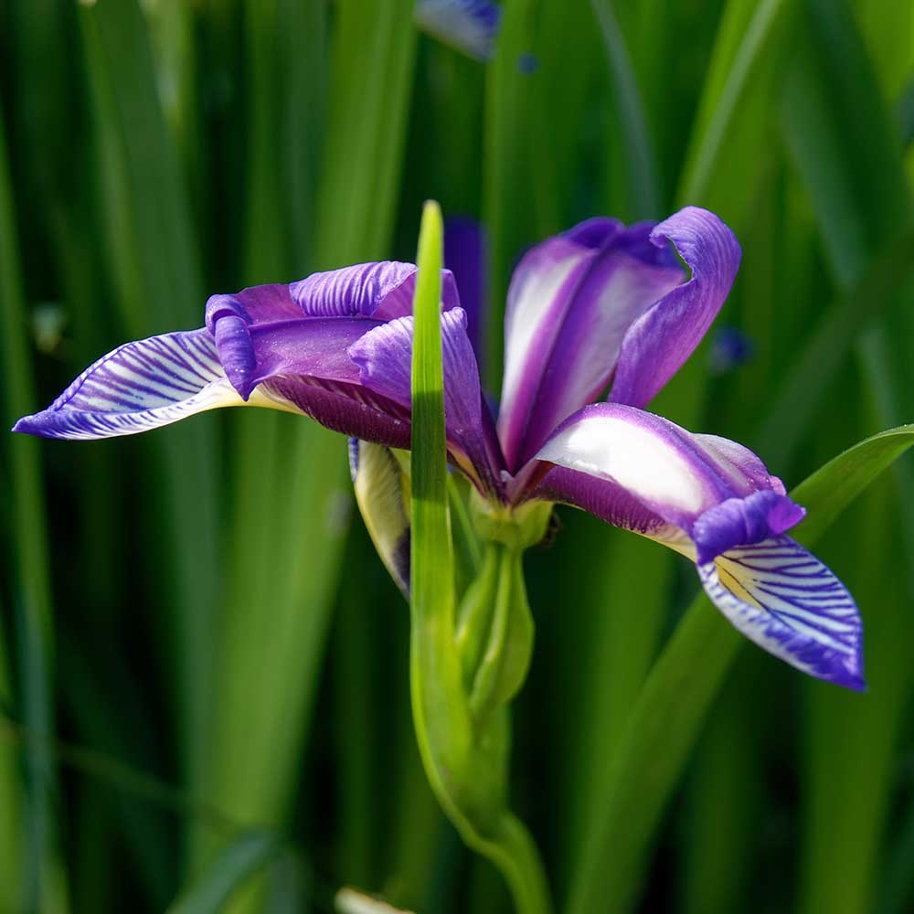 f321114acaa1e16827b16a1f44652ea4