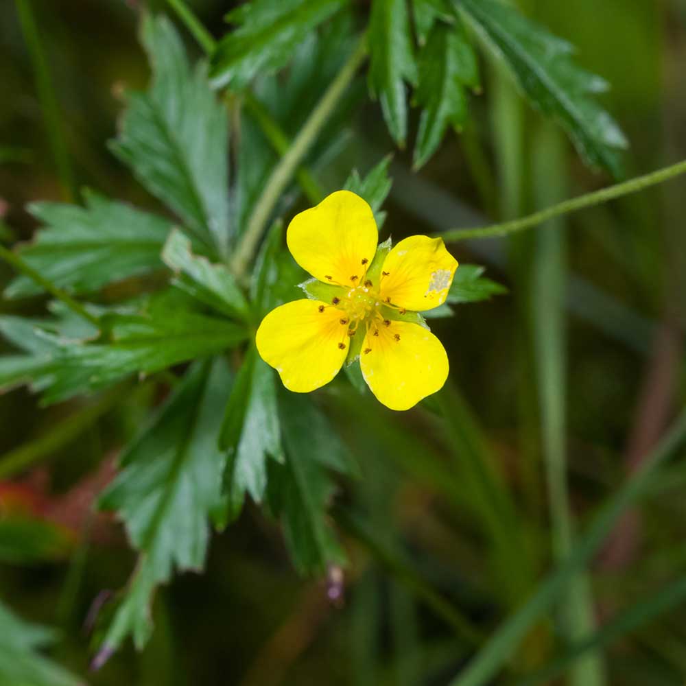 ed56305b84a16df43ca49f5cb3496c04