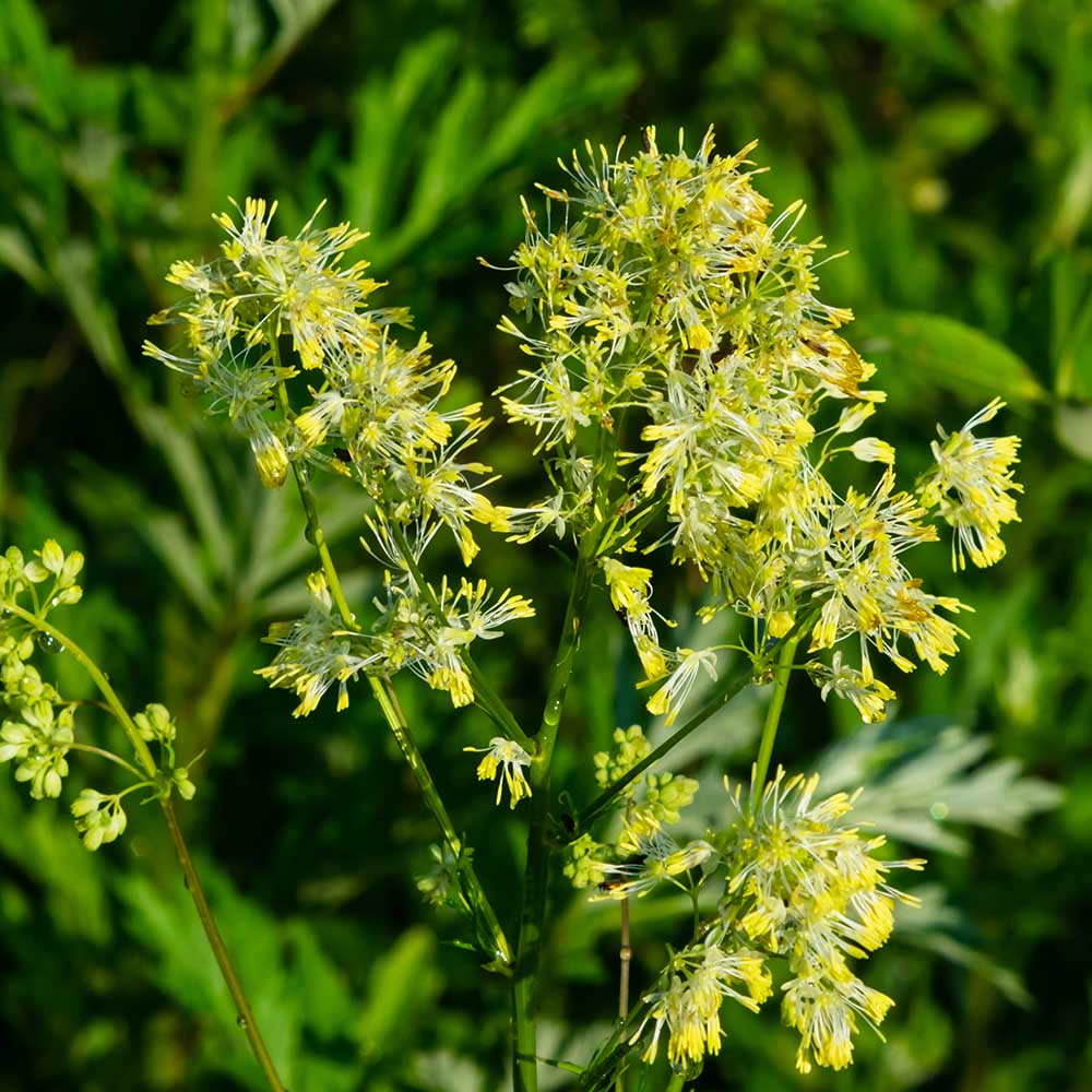 6f3193c17d4e33ca7af6a6ac41d6dab7