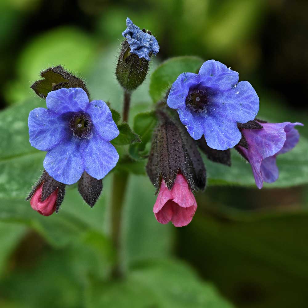 abc40552e2e993000291581deb1a24d5