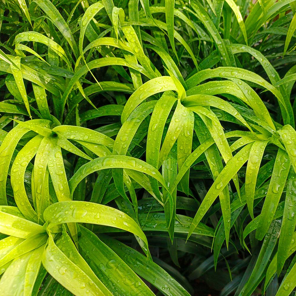 f2844b0df7c7a352d20f523e730828fd