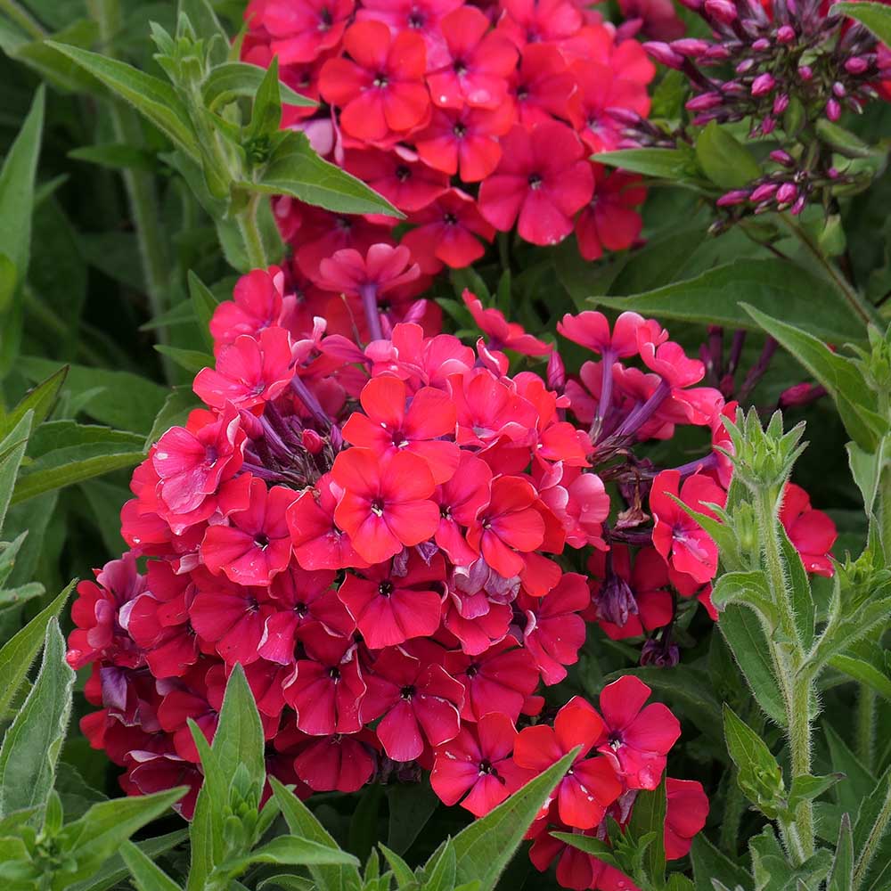 6a533456fb66a682188d7aa8a7abc4e6