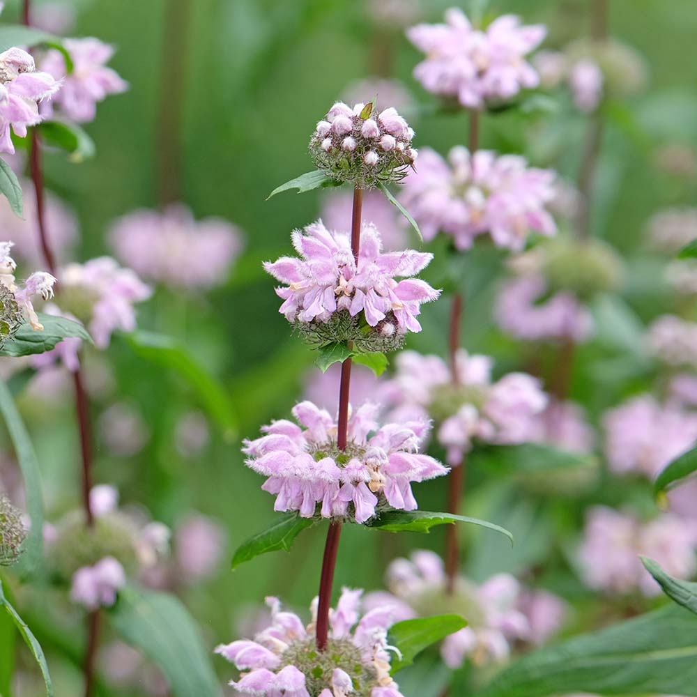 c1ca07ddead811084119a5b610c9e0e3