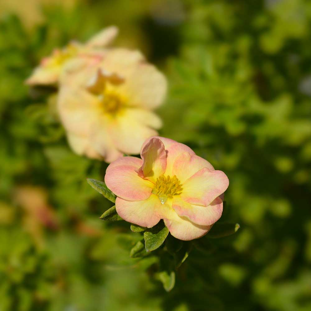 e1c24e2f36cc62f9de62f56366b89804