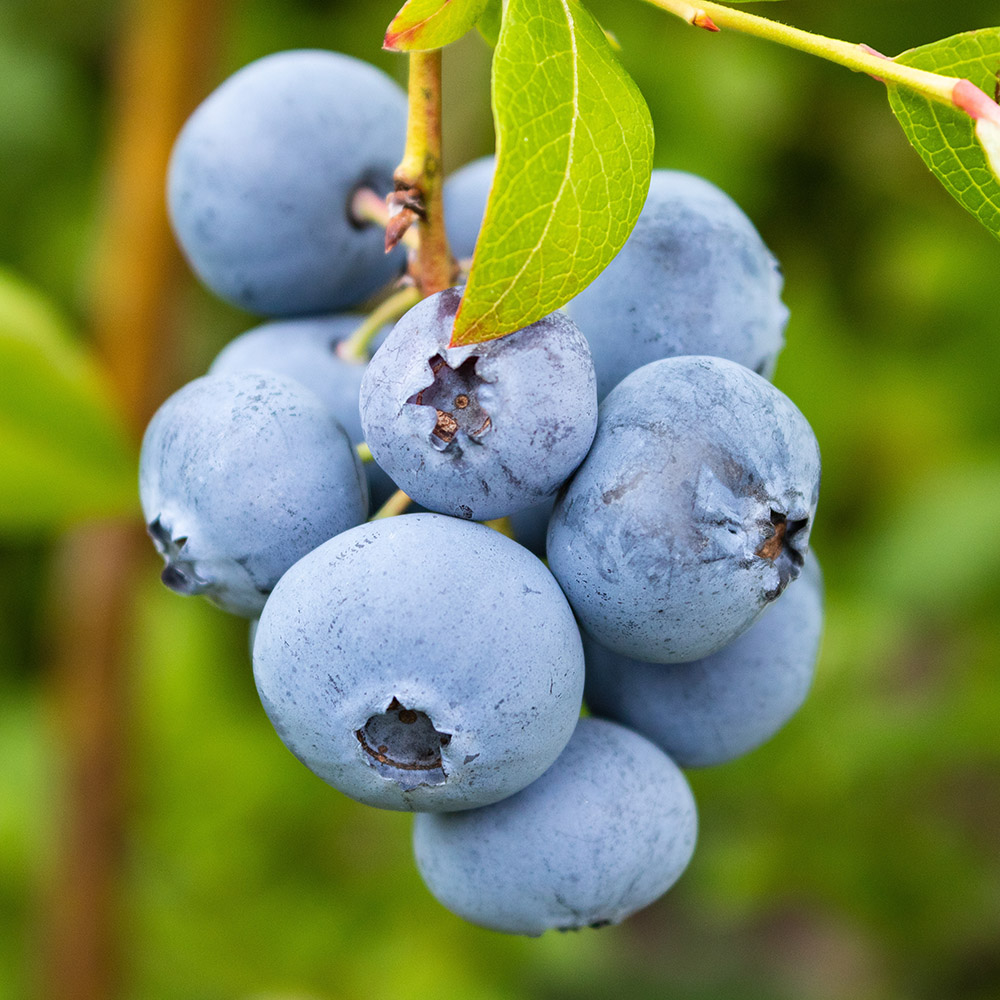 114c55298910aa0562f13fa321ca9edf