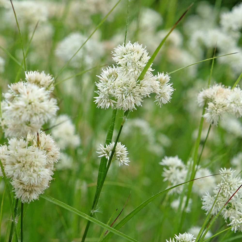 e8c209d0dbd8449a647013807ebbc371