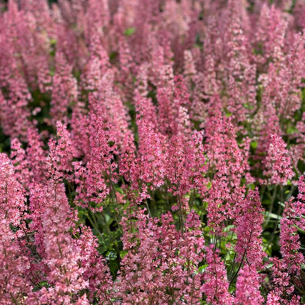 55a04e487ab9d4e9678288eb6e9f93cd