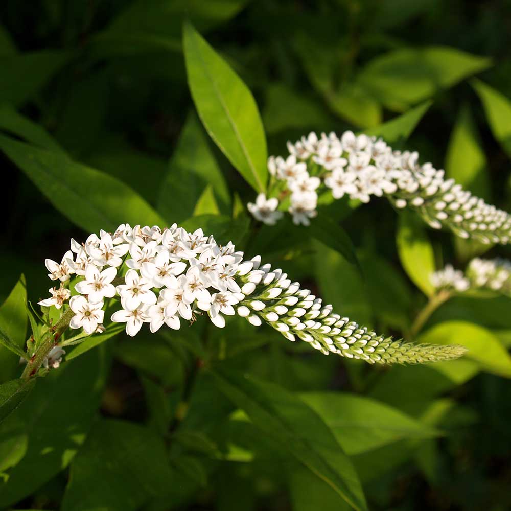 6f13cfb0a2111af300fced849bad8204