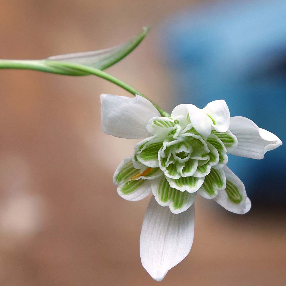 229fbb4971782737751f4fbe73b81f0a