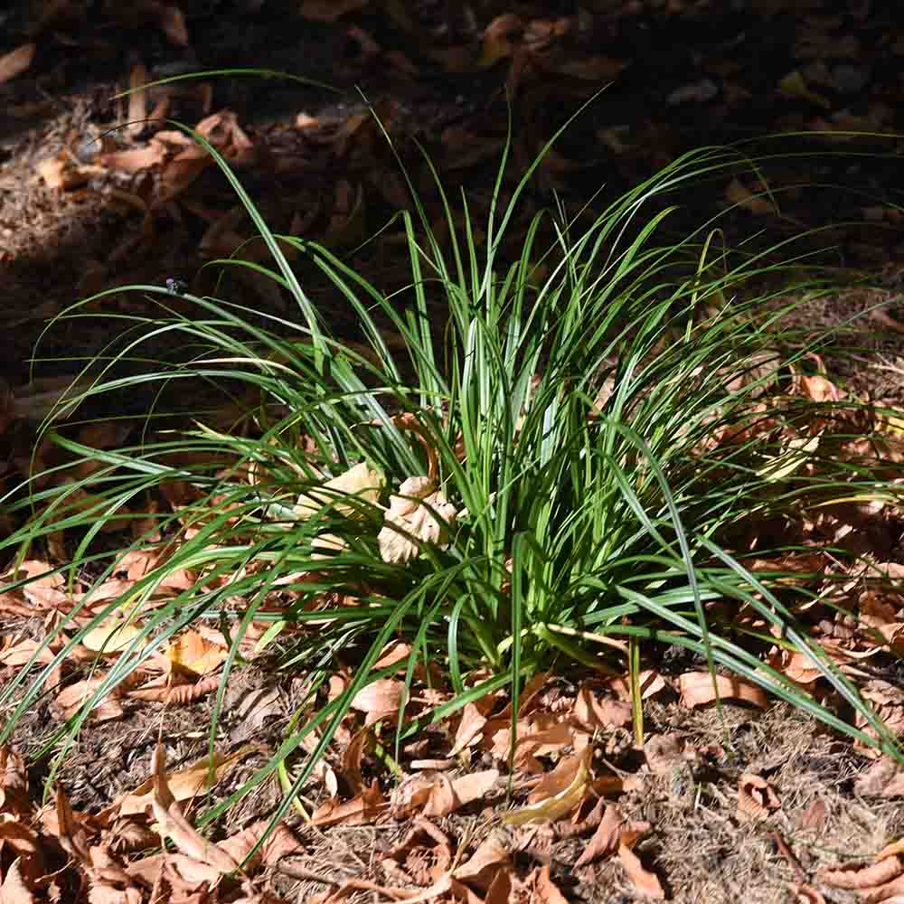 2d813c06af6a26caa5b7fec1a4f64ade