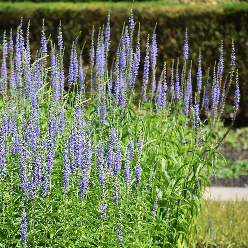 32aa2922f3bb50420cdcd3439d188093