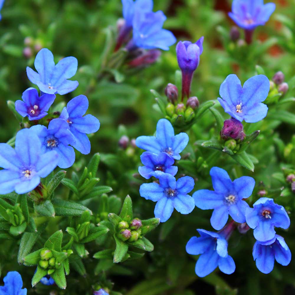 cbdb2e080ba8a4930344517de3d088f4