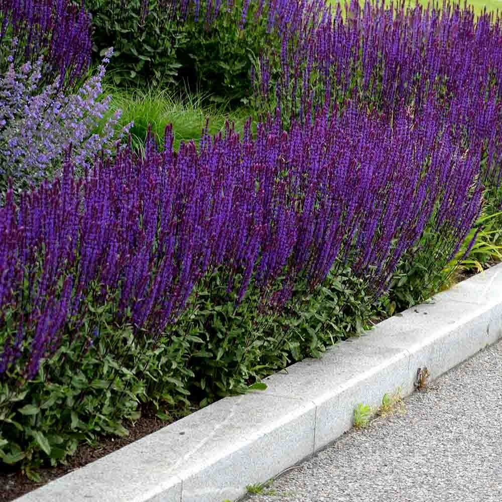 baf63763b7fc318e91abdb175e803ea4