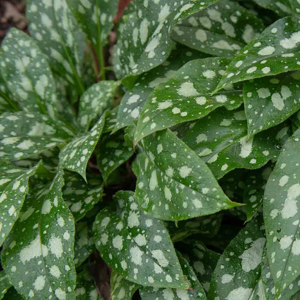 a66792742805b9058cead30fcae3642e