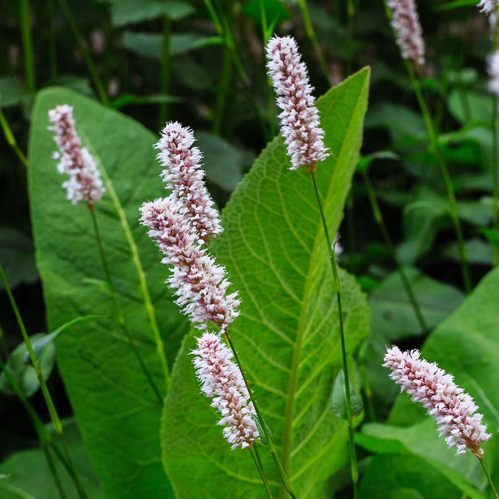 04f7fe25db67e58949ed8ebe9cecef35