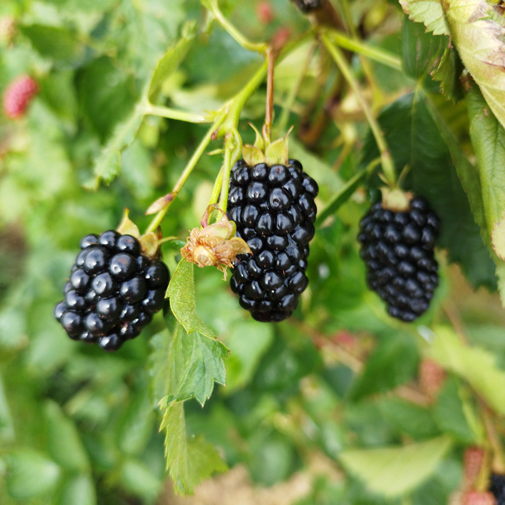 5e4ef98131d7b1c5ece049e27fcd7cee