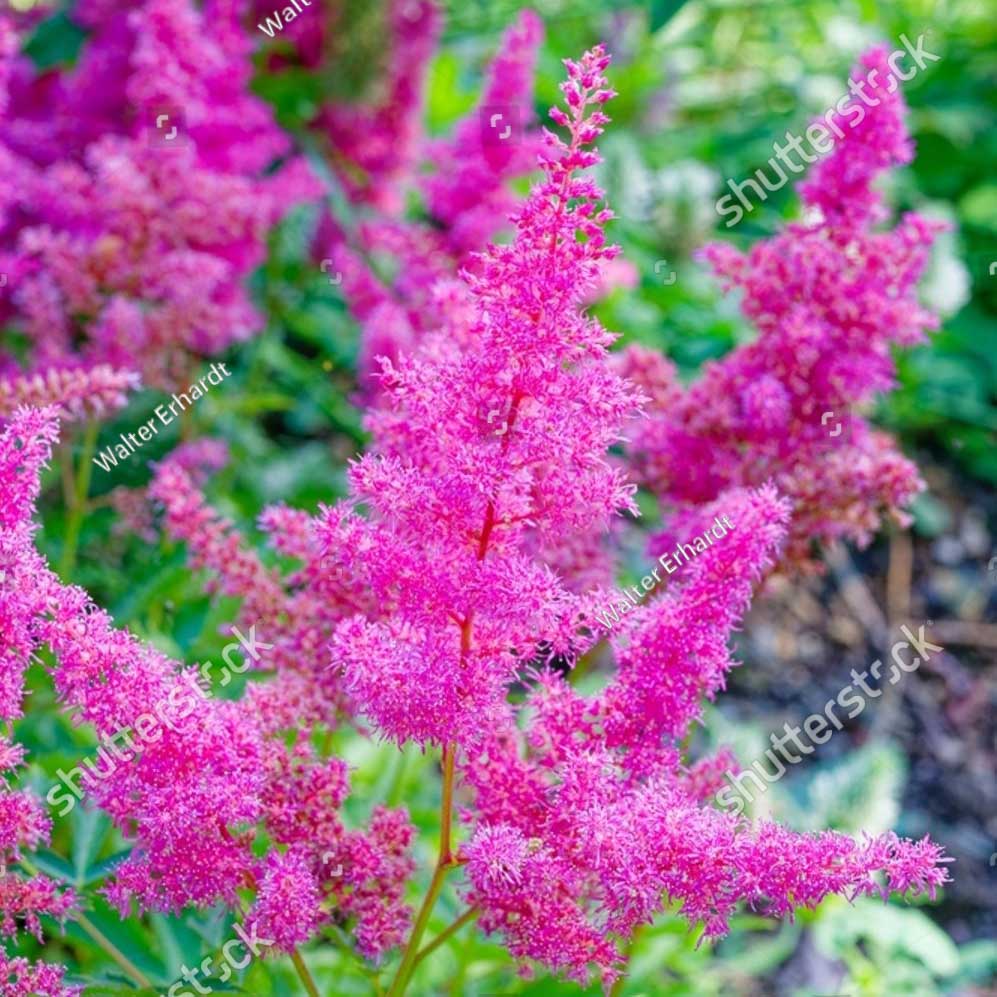 4fa626fee0753ea1d8ae54f36edfe266