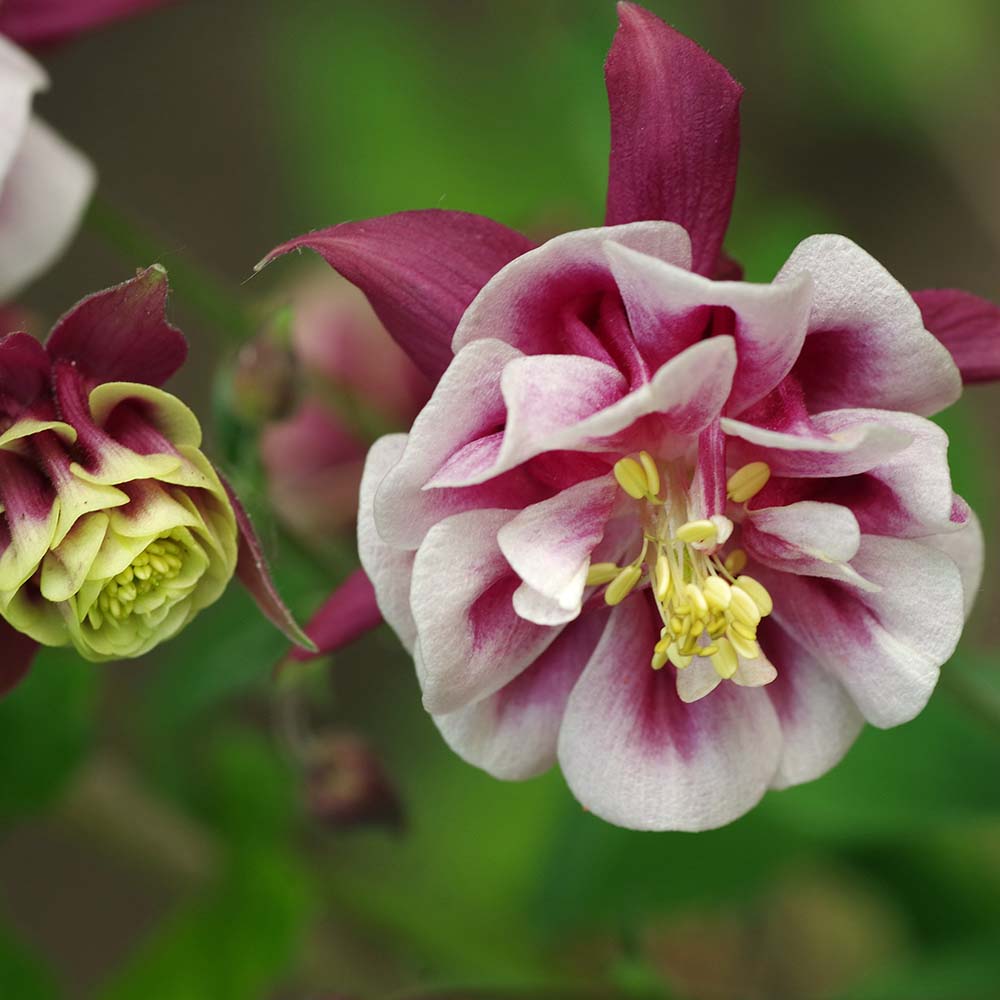 0a4412ed1a01e4c1959e9c1e409f6e5a