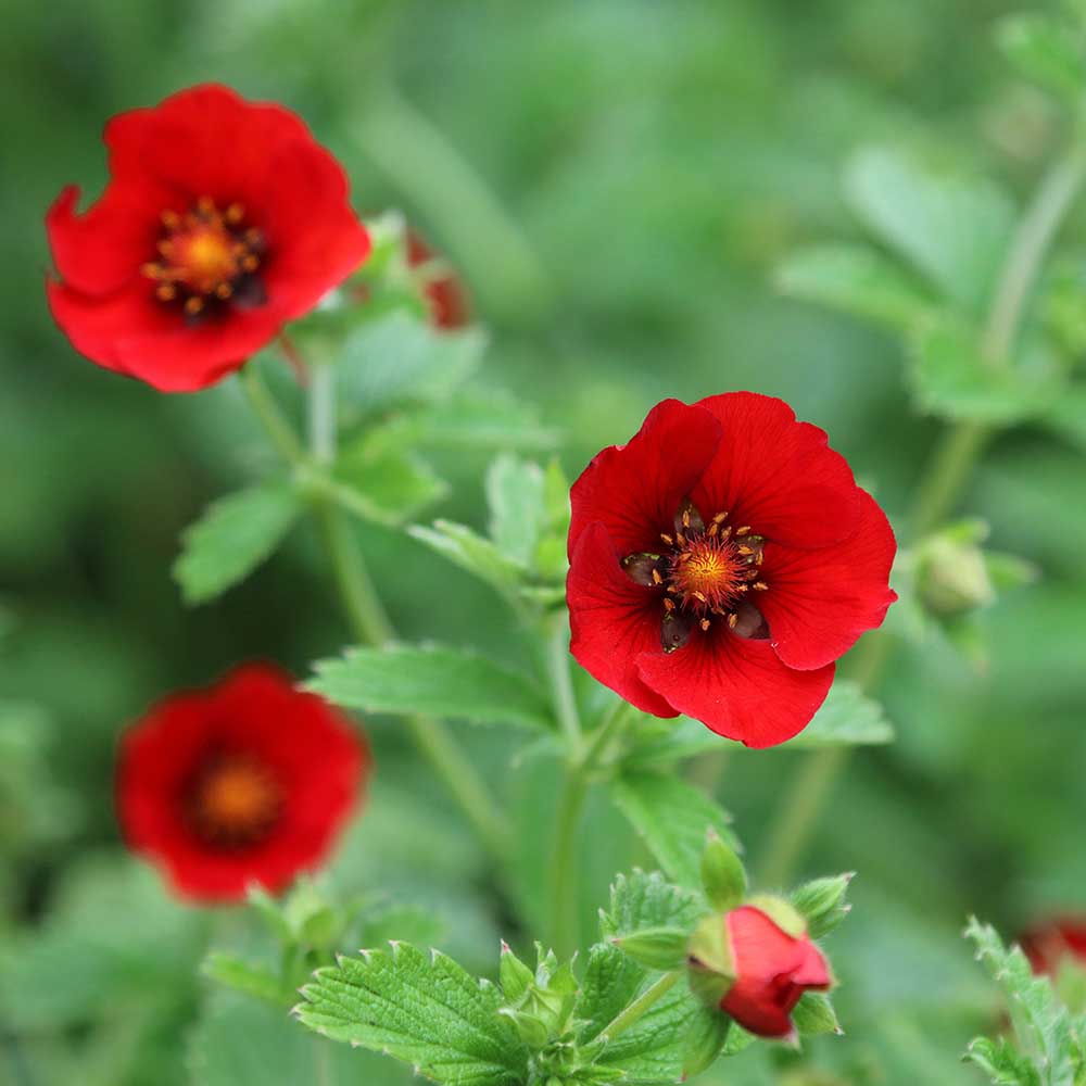 9ed9f49b412b249d960fa0b38ae0c726