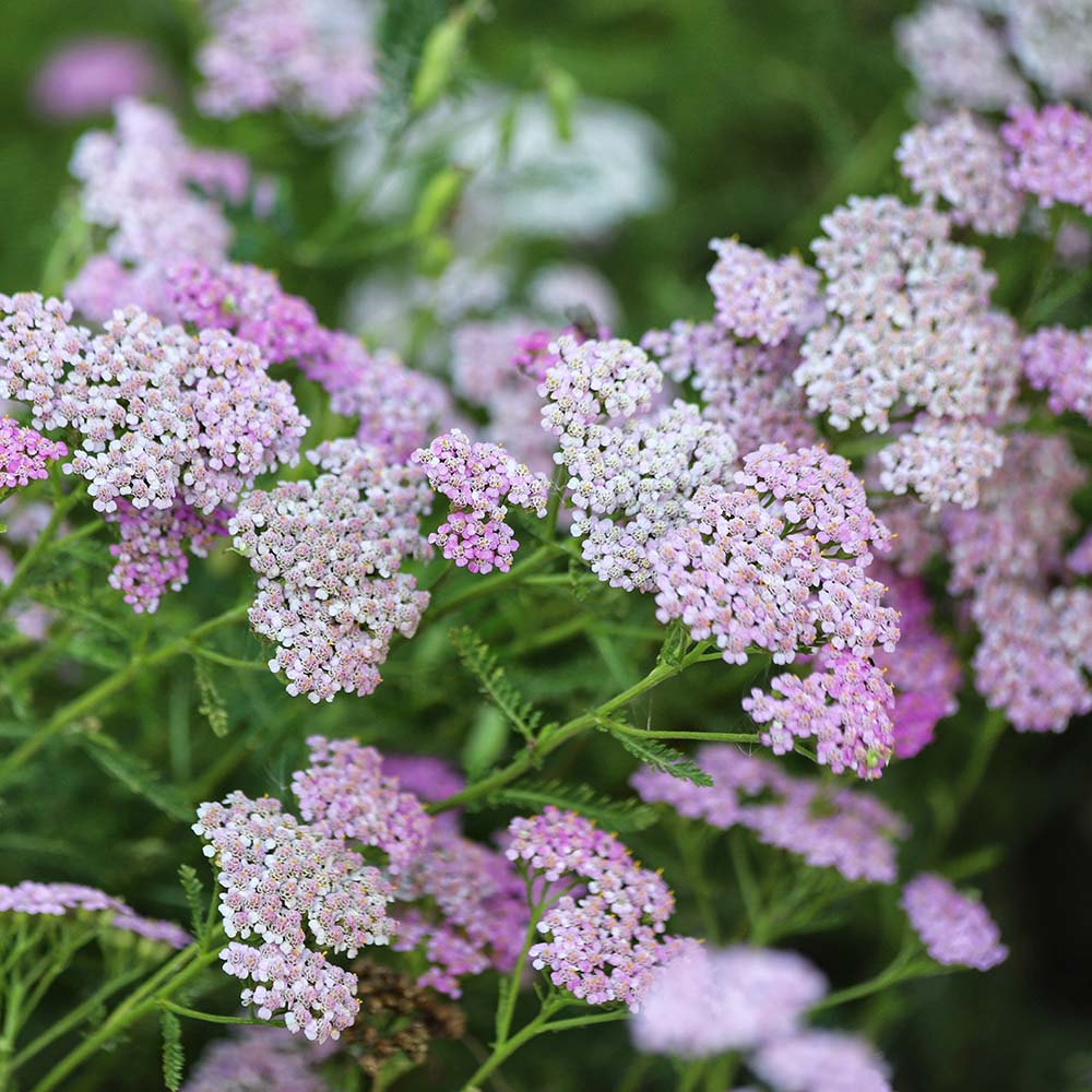 e345ffdcbd327c2f849ce139793ed5e2