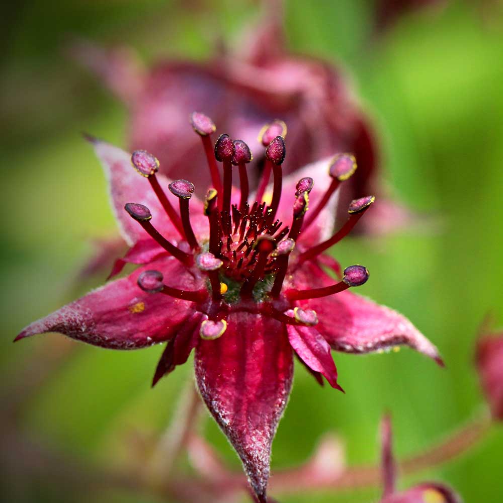 4299e7eeb7ed94d35612ac6bcd148aa4