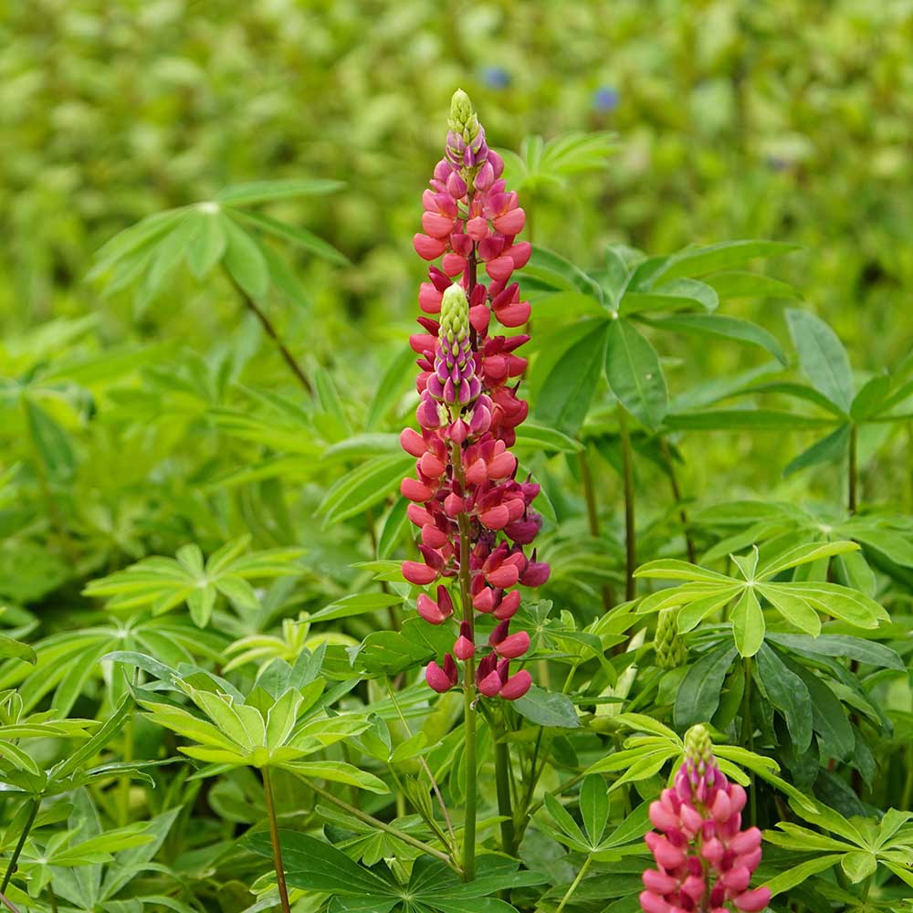 b6ea4ddc7b1bf02993f4cc6c969463a0